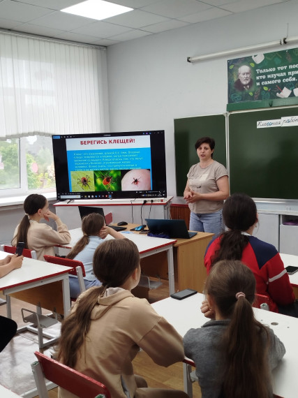 День эколога и окружающей среды.
